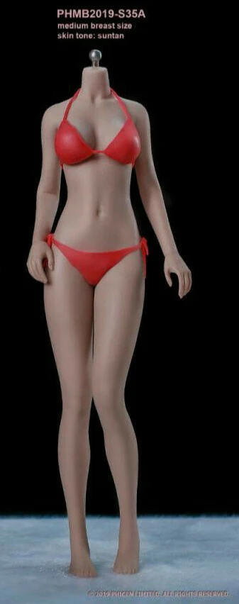 [PEDIDO] Cuerpo Femenino S34A y S35A Teenage Girl (2 versiones) marca TBLeague escala 1/6 - Image 5