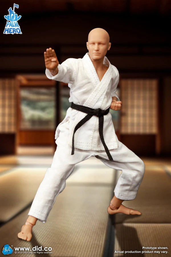 Pedido Figura The Karate Player - Simple Fun Series marca DID SF80001 escala pequeña 1/12 - Image 3