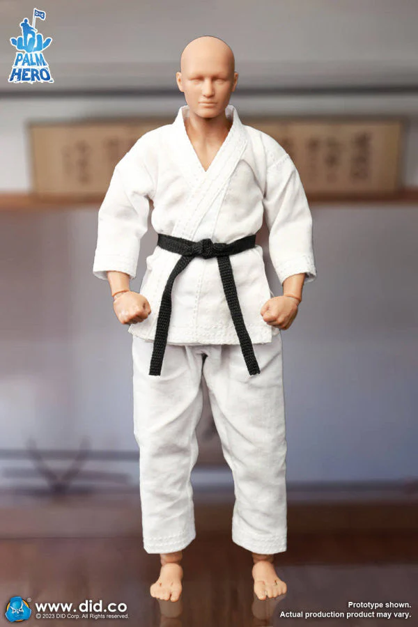 Pedido Figura The Karate Player - Simple Fun Series marca DID SF80001 escala pequeña 1/12 - Image 4