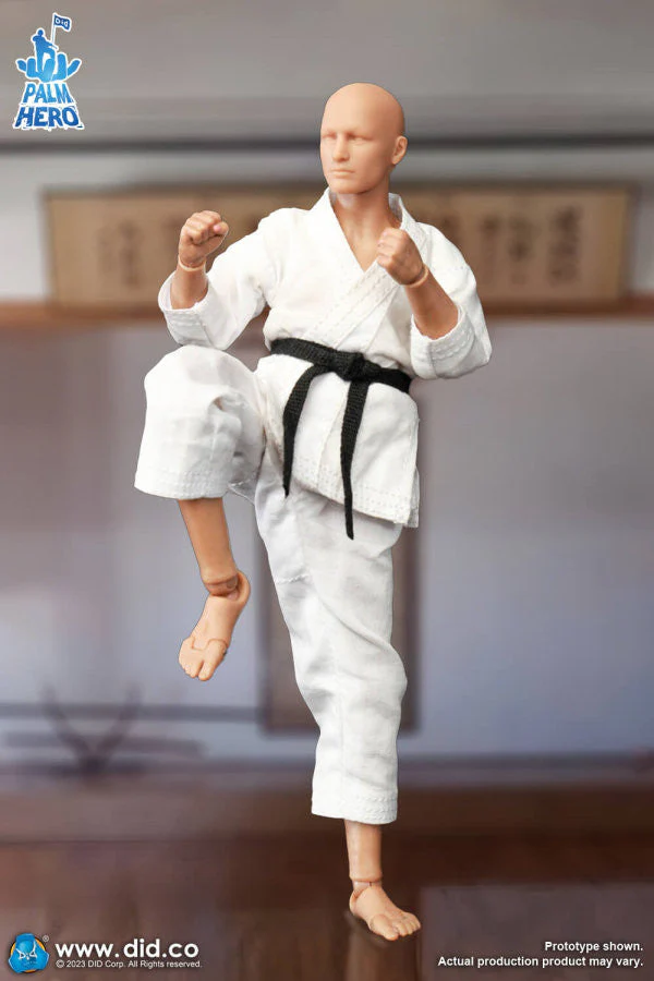 Pedido Figura The Karate Player - Simple Fun Series marca DID SF80001 escala pequeña 1/12 - Image 6
